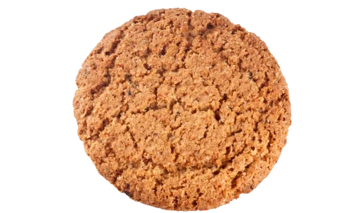 Oatmeal Cookie